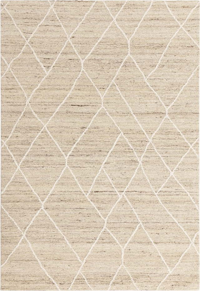Vlněný koberec v přírodní barvě 160x230 cm Noah – Asiatic Carpets Asiatic Carpets
