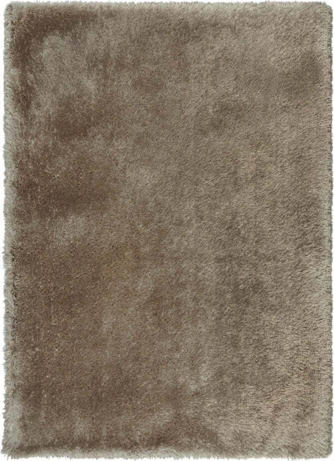 Hnědý koberec 120x170 cm – Flair Rugs Flair Rugs