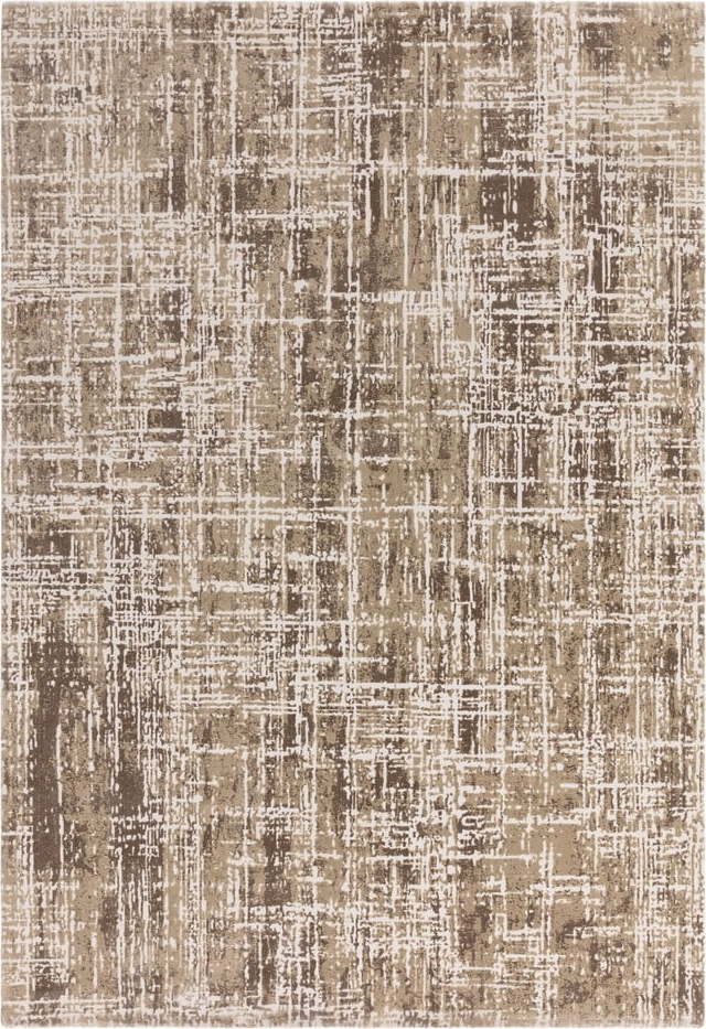 Béžový koberec 240x340 cm Kuza – Asiatic Carpets Asiatic Carpets
